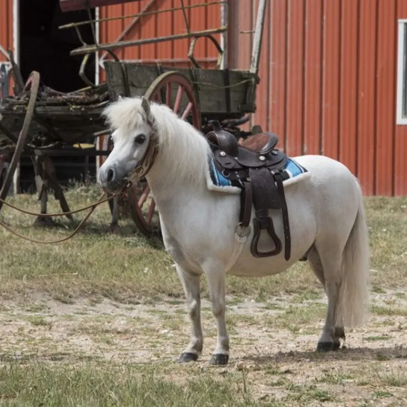 WESTRIDE Tapis western Navajo -< Tapis De Randonnée Et Western Cheval