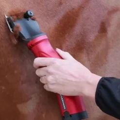 LIVERYMAN Tondeuse cheval batterie Phoenix -< Tondeuse Cheval