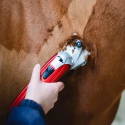 LIVERYMAN Tondeuse cheval secteur Kare Pro 200 Professional -< Tondeuse Cheval