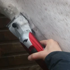 LIVERYMAN Tondeuse cheval secteur Kare Pro 200 Professional -< Tondeuse Cheval
