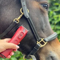 LIVERYMAN Tondeuse de finition cheval batterie Nova Trimmer -< Tondeuse Cheval