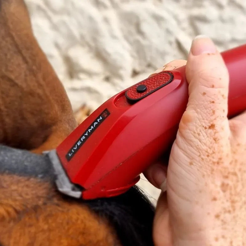 LIVERYMAN Tondeuse de finition cheval batterie Nova Trimmer -< Tondeuse Cheval