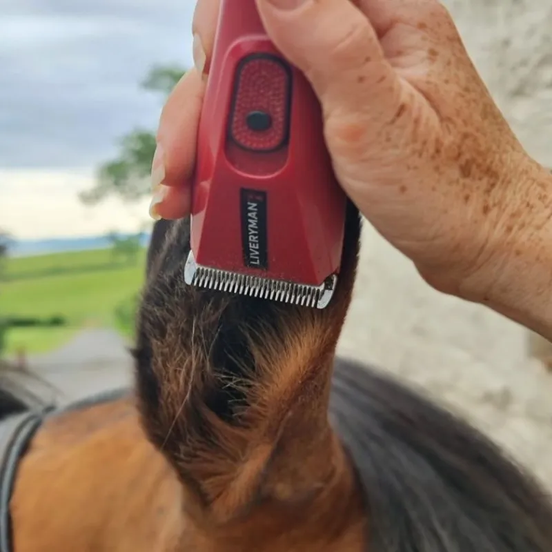 LIVERYMAN Tondeuse de finition cheval batterie Nova Trimmer -< Tondeuse Cheval