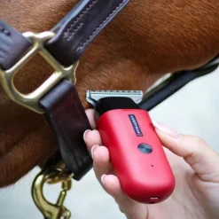 LIVERYMAN Tondeuse de finition cheval Batterie Robin -< Tondeuse Cheval