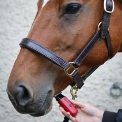LIVERYMAN Tondeuse de finition cheval Batterie Robin -< Tondeuse Cheval