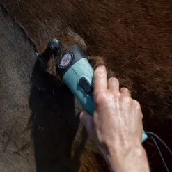 WAHL Tondeuse secteur cheval avec sacoche de rangement Star - Lister< Tondeuse Cheval