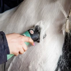WAHL Tondeuse secteur cheval avec sacoche de rangement Star - Lister< Tondeuse Cheval