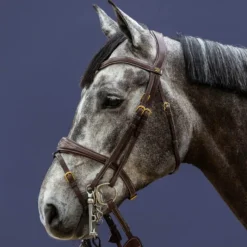 DYON Têtière de bride cheval D Collection - Dy'on< Accessoires De Bridon Cheval